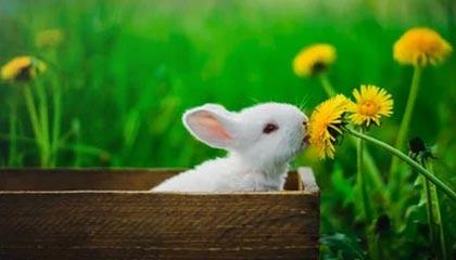 开云竞猜官网-前国足主帅李铁被判20年,涉多项罪名,李铁出任国足新帅